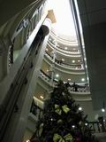 Новогодняя елка в торговом комплексе «Центральный»